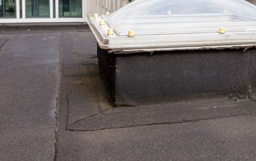 disadvantages of Teynham Street flat roofs